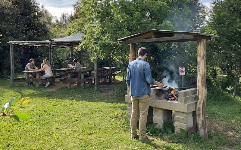 AREA BBQ